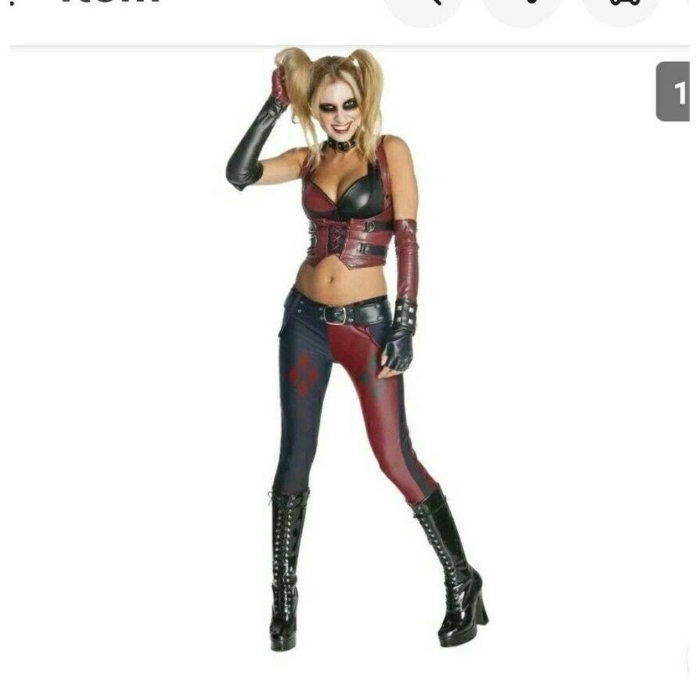 Adult DC Comics Batman Arkham City Harley Quinn S